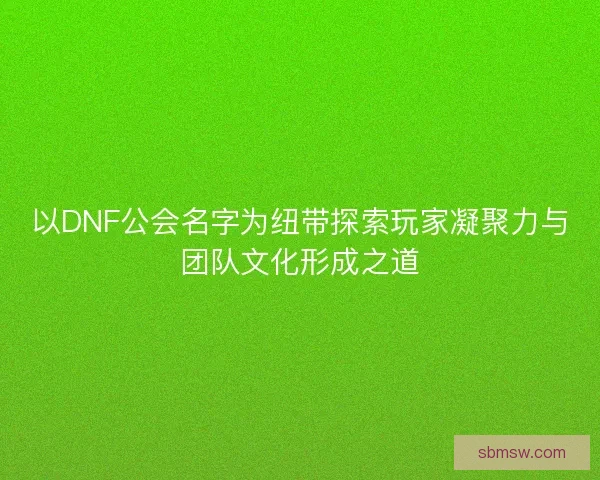 以DNF公会名字为纽带探索玩家凝聚力与团队文化形成之道